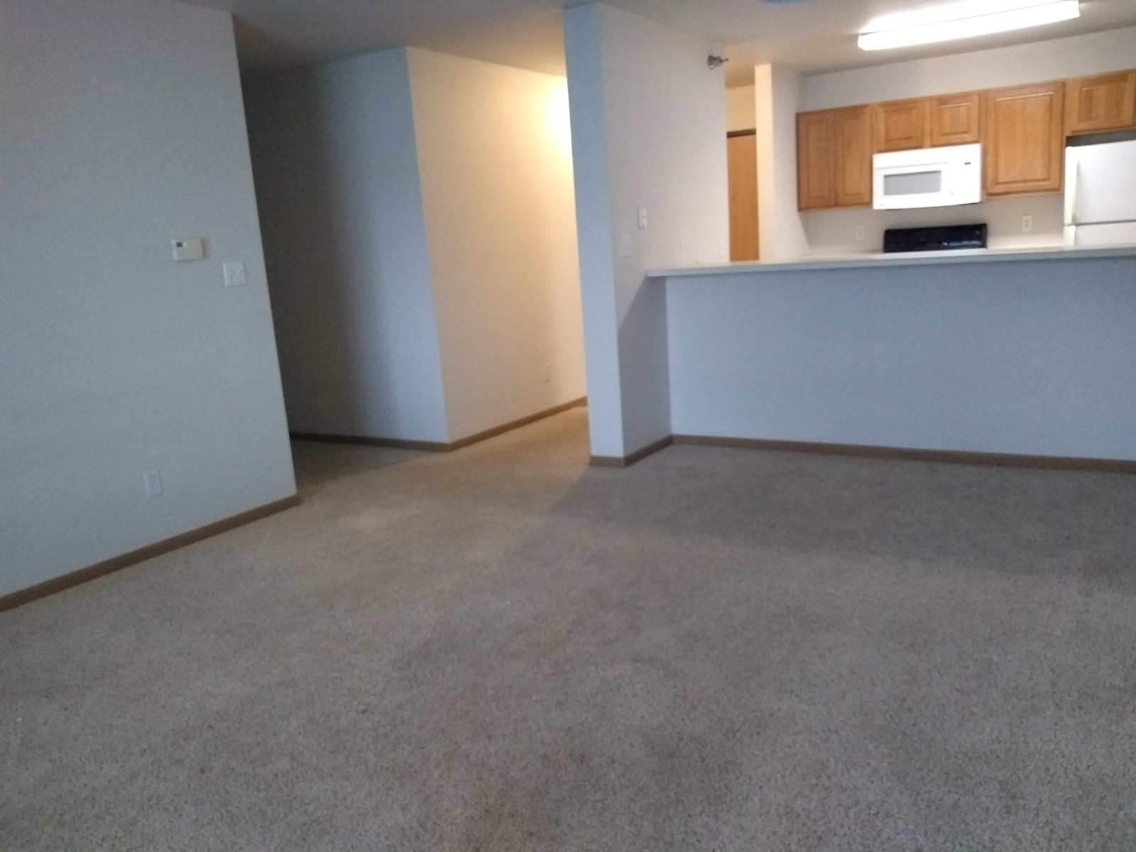 1401.105 living room 4216 Lincoln Swing